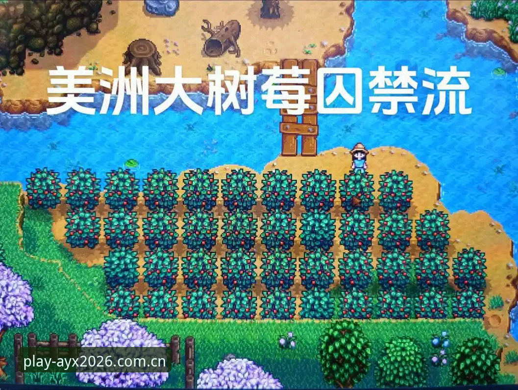 5大常见原因及解决方案：爱游戏体育登录不了怎么办？